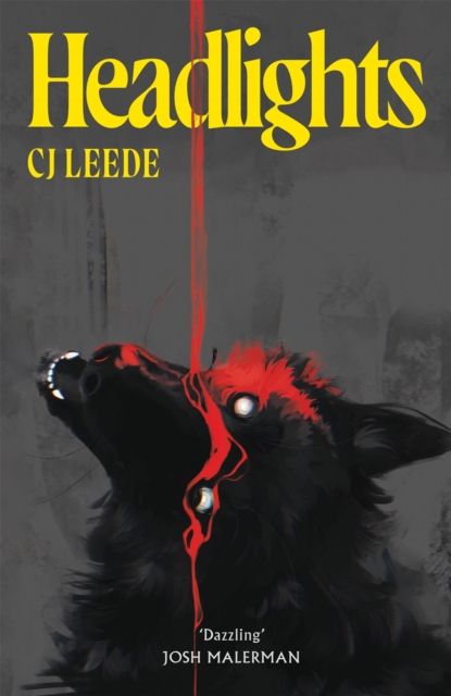 Headlights by CJ Leede