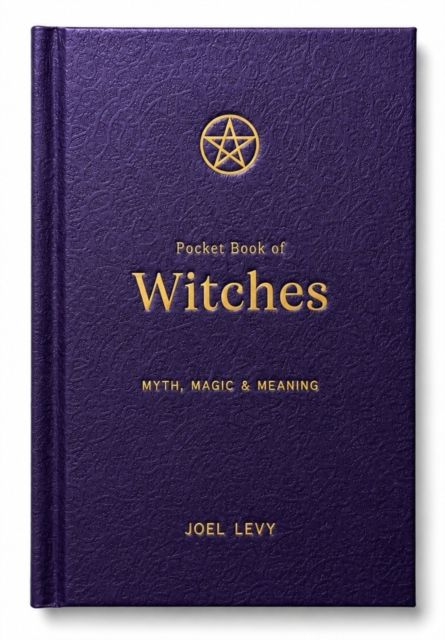 Pocket Book of Witches by Joel Levy