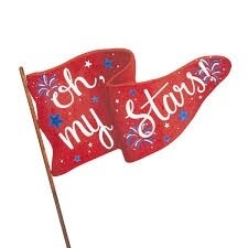 &#39;OH MY STARS&#39; PENNANT FLAG