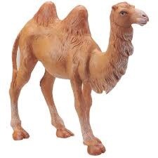 THE CAMEL