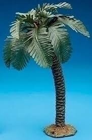 PALMYRA PALM TREE