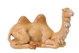 THE SEATED CAMEL