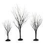 BLACK BARE BRANCH TREES