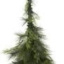 HANGING TREE 35&quot;
