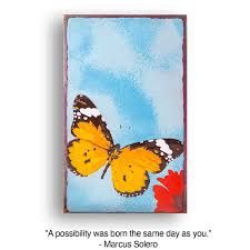 TILE CHRYSALIS - RETIRED