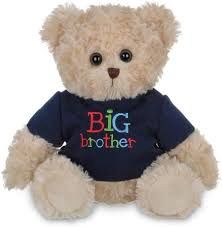 BIG BUDDY BEAR