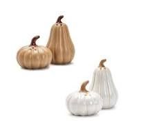 FALL PUMPKIN &amp; GOURD SALT AND PEPPER SHAKER