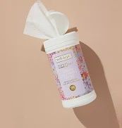 CANISTER CLEANSING TOWELETTES