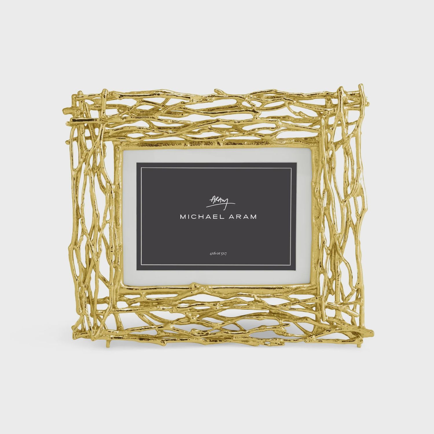 TWIG GOLD FRAME 5X7