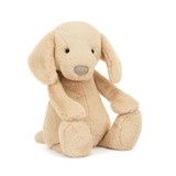 BIG BASHFUL LUXE PUPPY ORLANDO