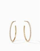 WINDSOR HOOP PINK CHAMPAGNE MEDIUM