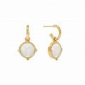 HONEYBEE HOOP &amp; CHARM EARRING PEARL