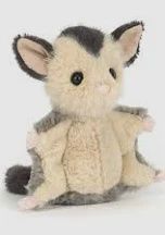 LOLLY SUGAR GLIDER