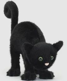 SPOOKIPAWS CAT