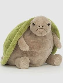TIMMY TURTLE