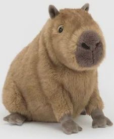 CLYDE CAPYBARA