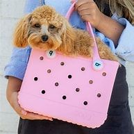 Bogg Bags/Consuela Bags &amp; Totes