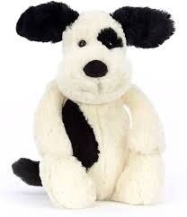 BASHFUL BLACK &amp; CREAM PUPPY WEBSITE