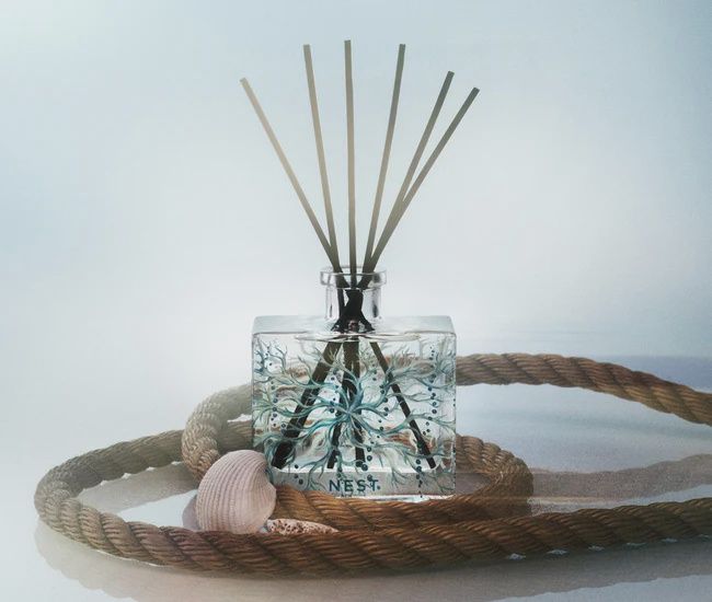 OCEAN MIST &amp; SEA SALT REED DIFFUSER SPECIALTY