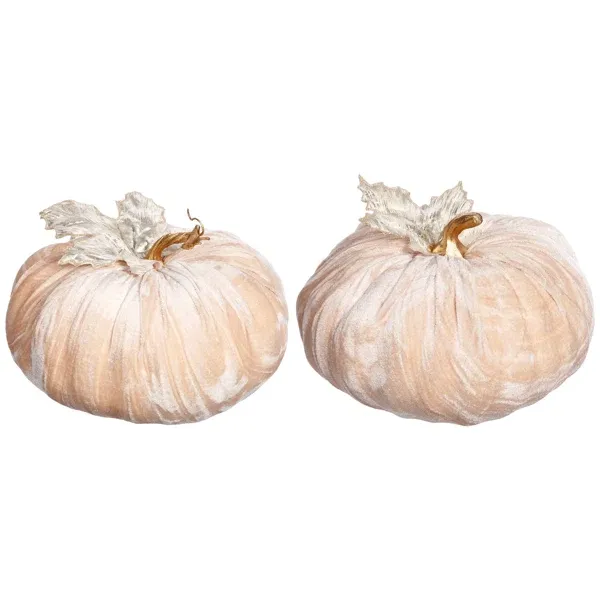 VELVET PUMPKIN ORIGINAL 8-9" A2