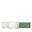 FRASER FIR TIDINGS VOTIVE CANDLES GIFT 2 3 OZ