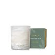 FRASIER FIR TIDINGS 13 OZ CANDLE