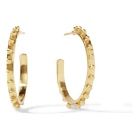 SOHO LOOP GOLD EARRING MEDIUM