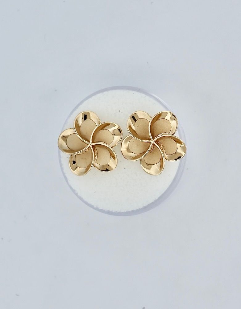 Aretes 14k Peso 4.7g PE1014784