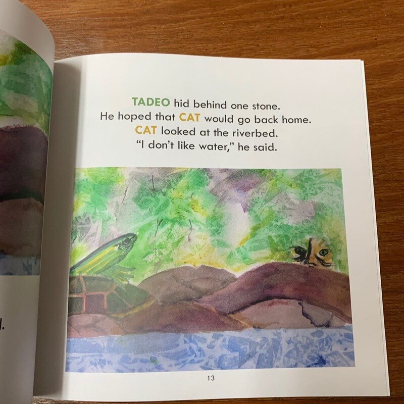 Tadeo Turtle Children's Book