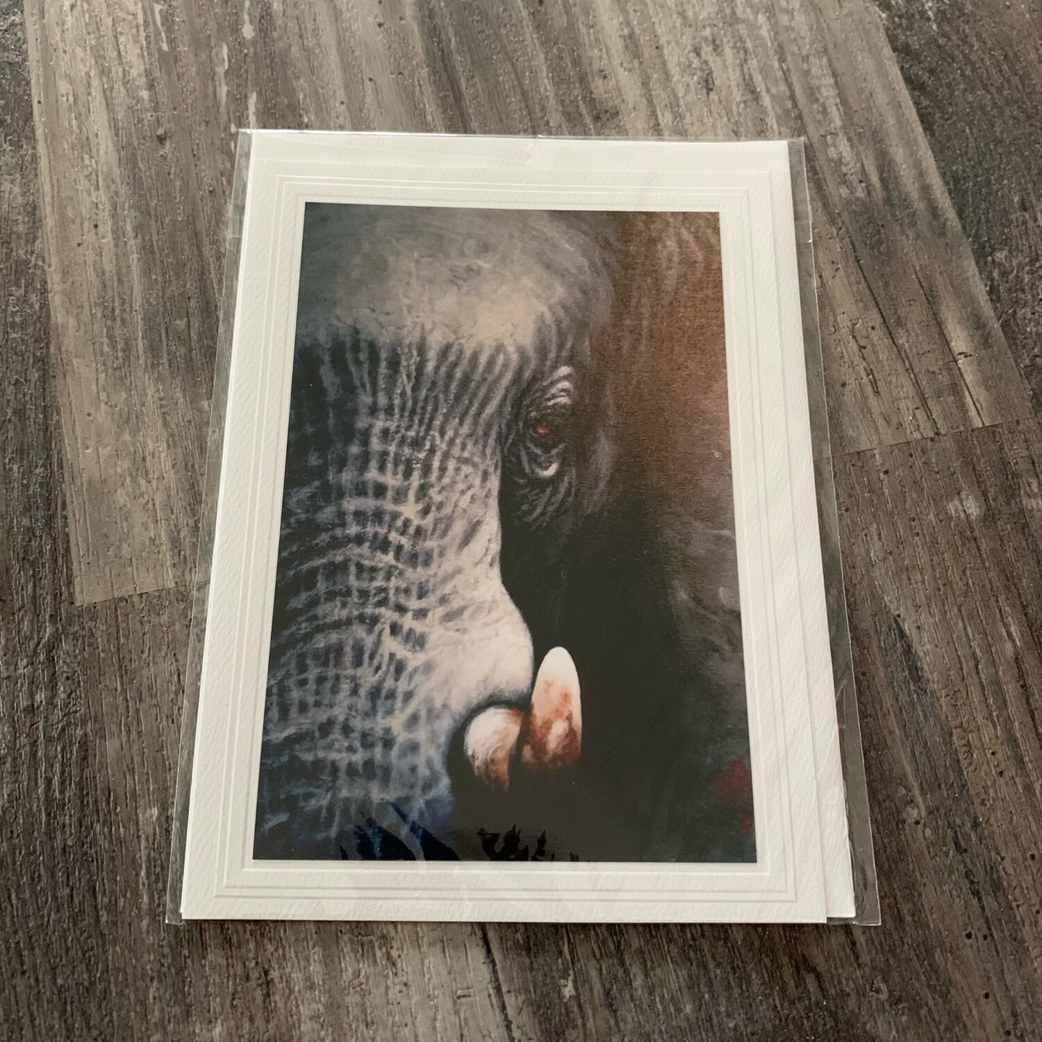 Elephant Printed Card
