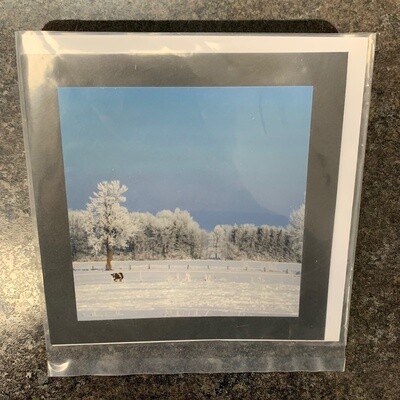 Photo Card