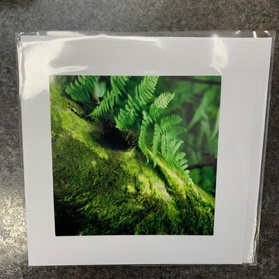Photo Card