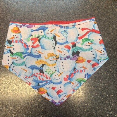 Bandana Bib