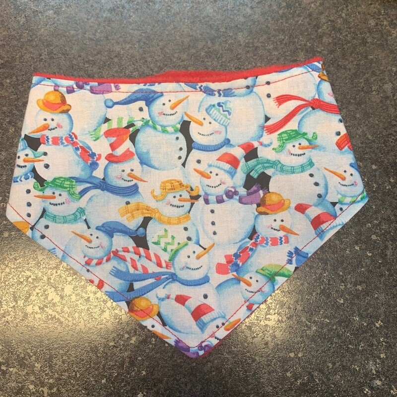 Bandana Bib
