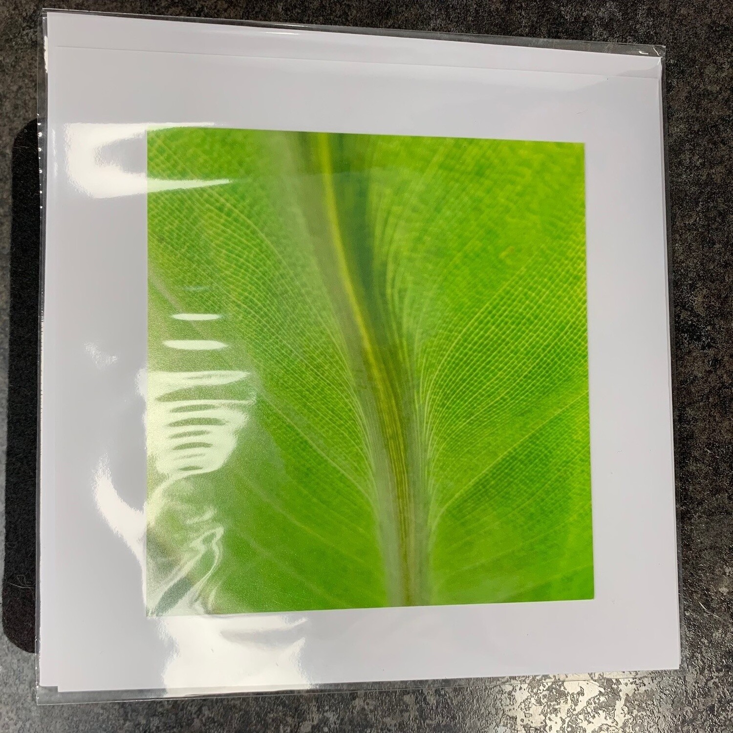 Photo Card