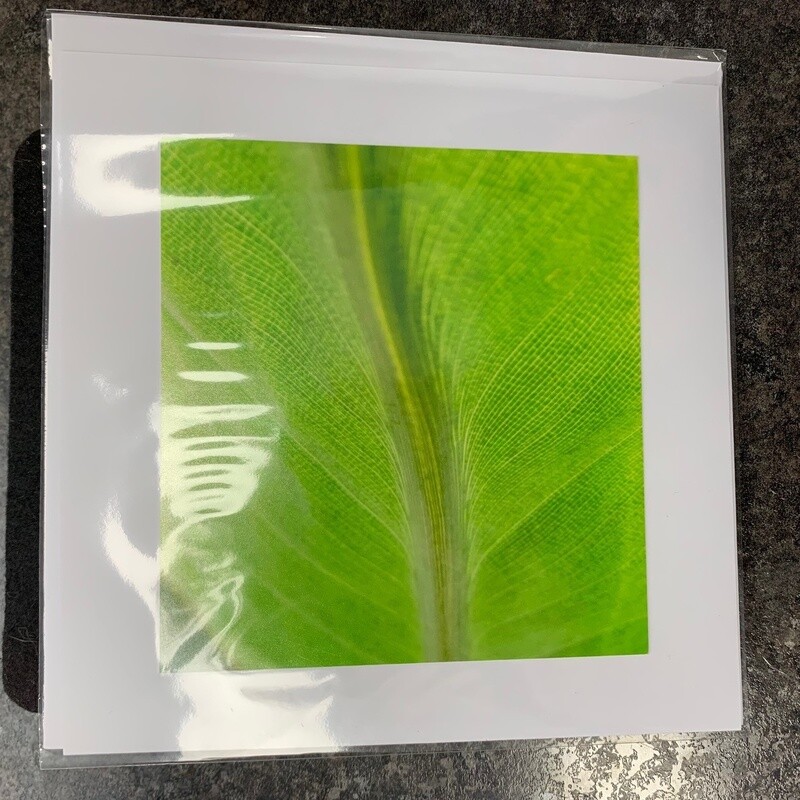 Photo Card