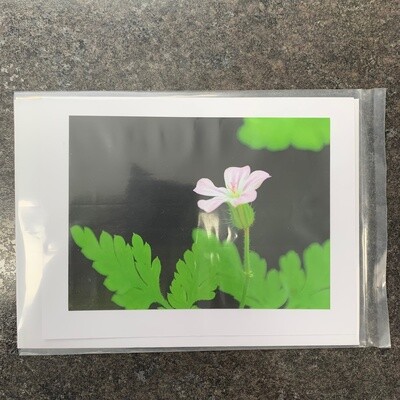 Photo Card