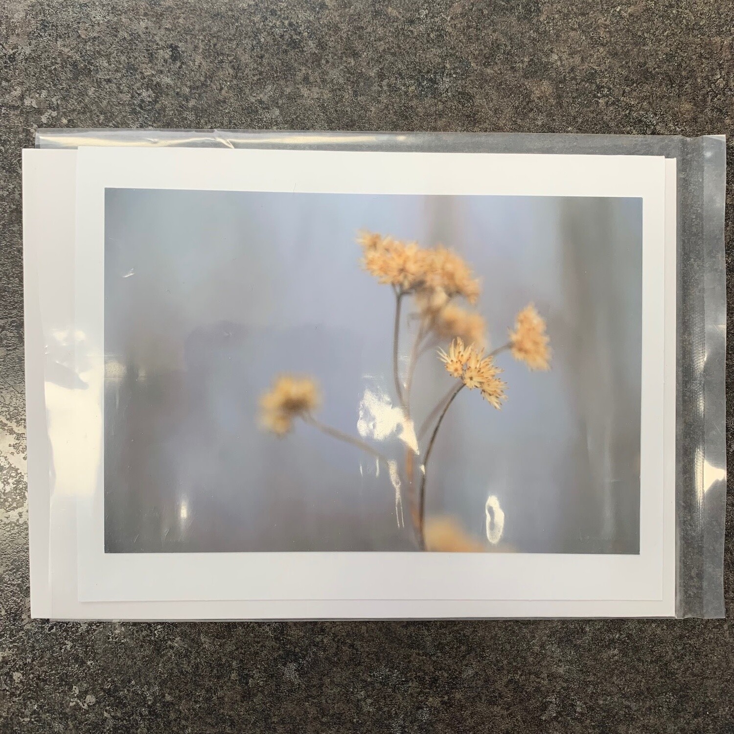 Photo Card
