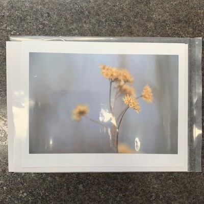 Photo Card