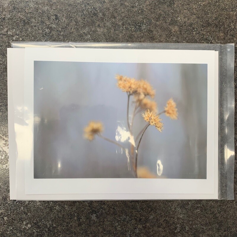 Photo Card