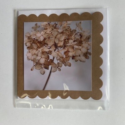 Photo Card