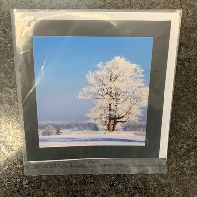 Photo Card