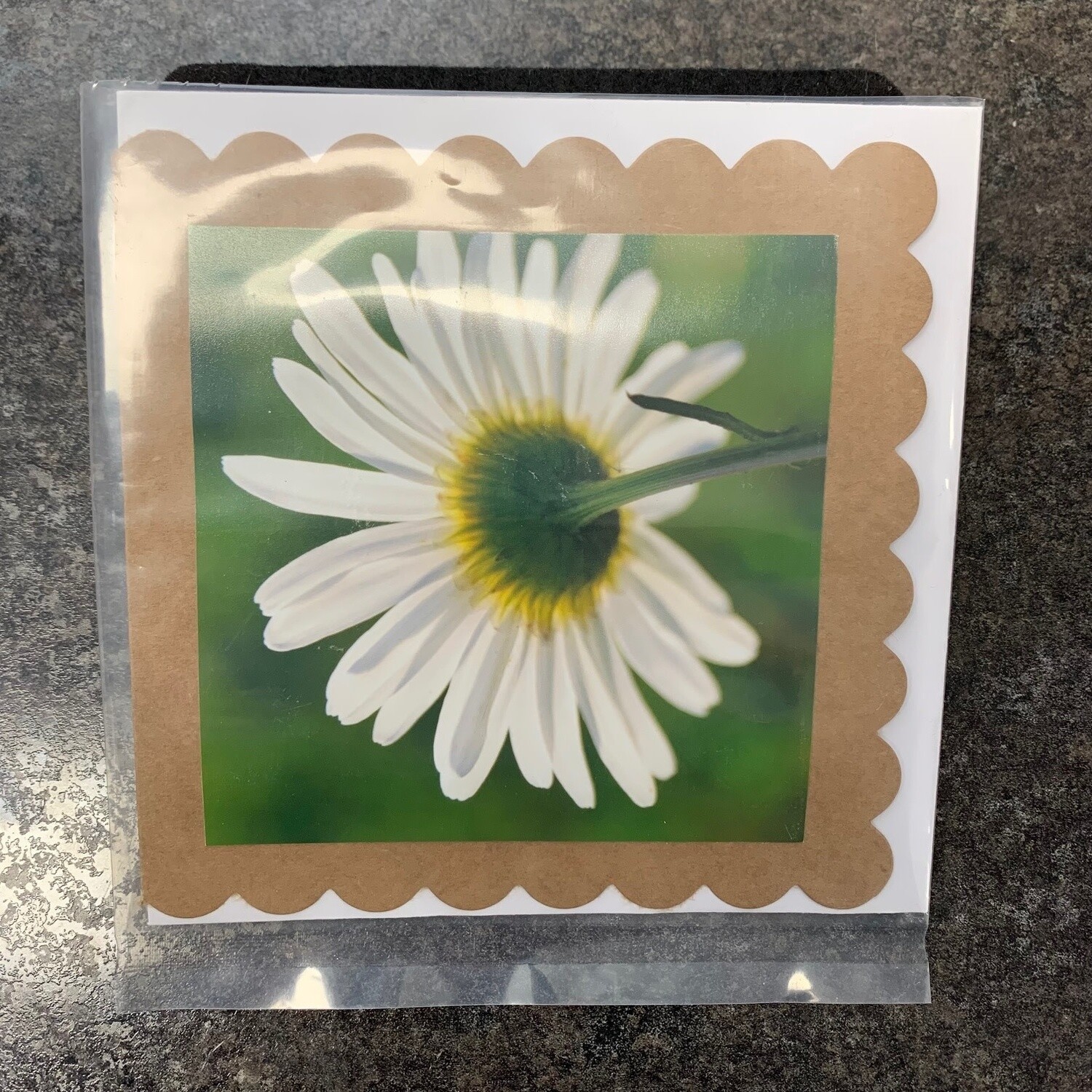 Photo Card