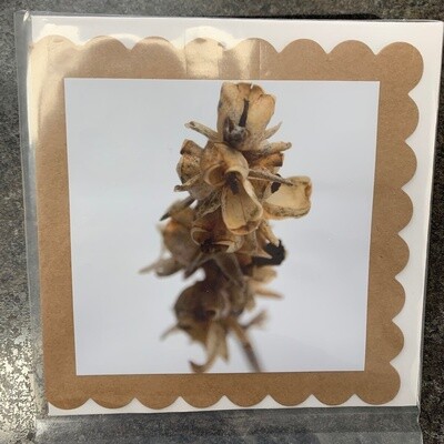 Photo Card
