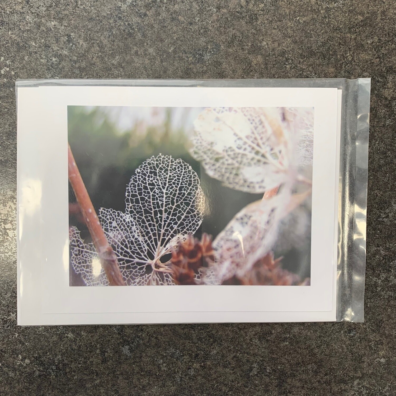 Photo Card