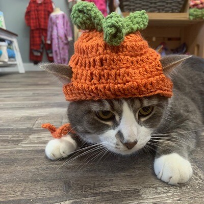 Crochet Cat Hat