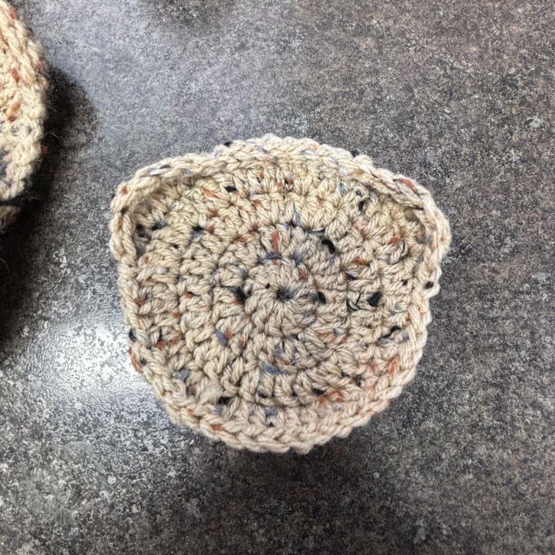 Bear Coasters