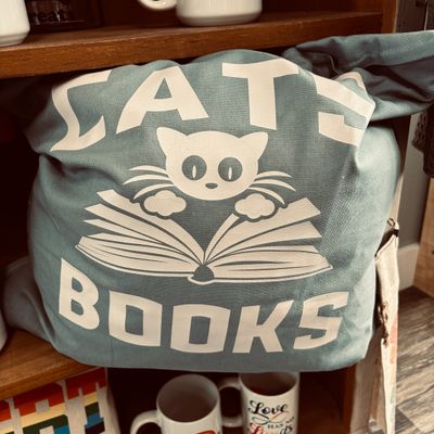 Cats and Books Pillow