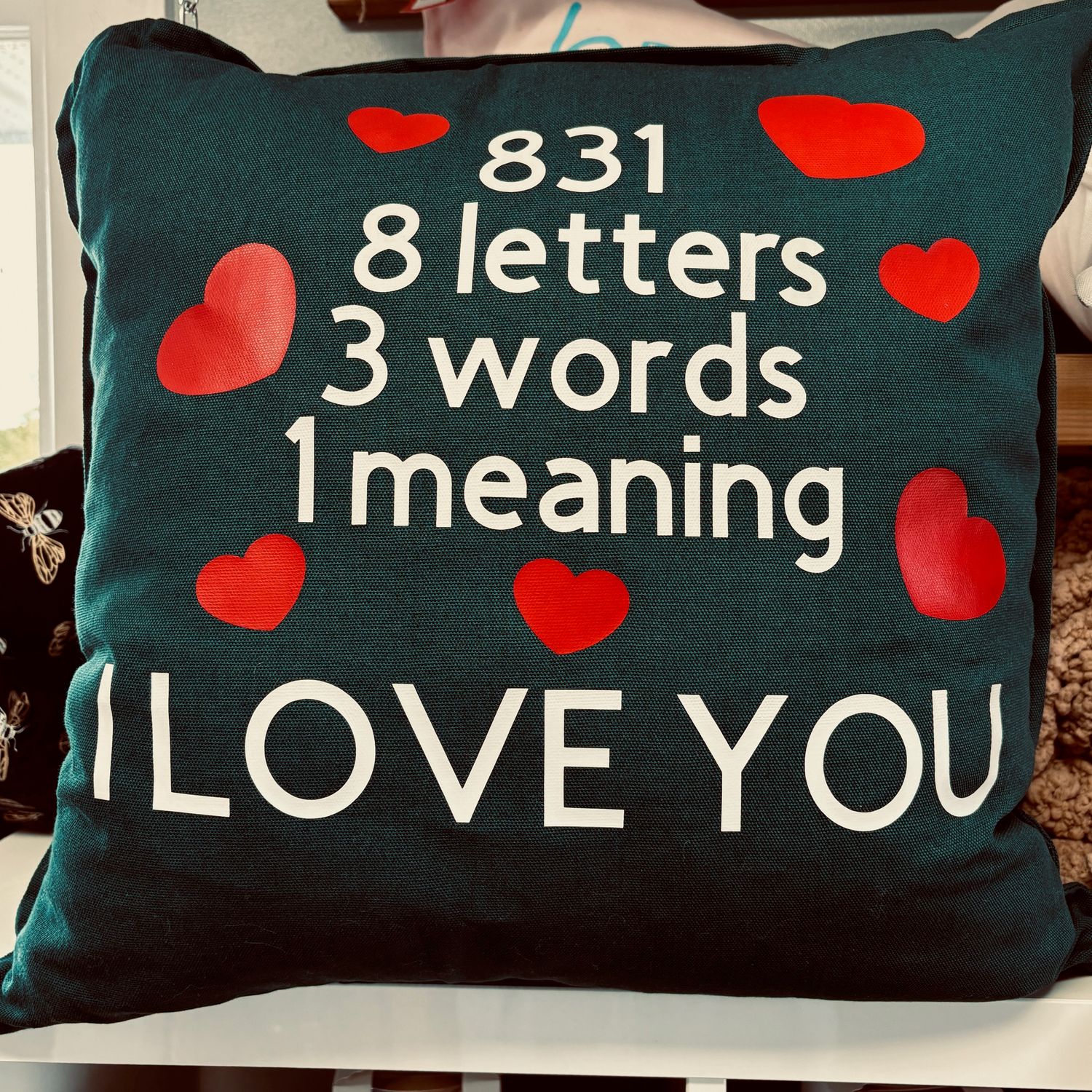 831 Pillow