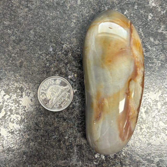 Jasper Palm Stone
